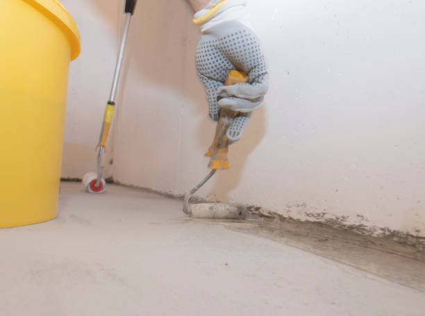 Best Pest Exclusion Services  in Hinckley, MN